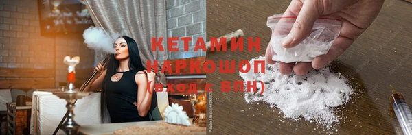 стаф Касимов