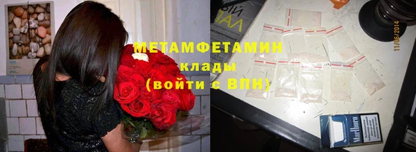 стаф Касимов