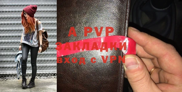 стаф Касимов
