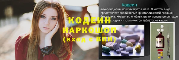 стаф Касимов