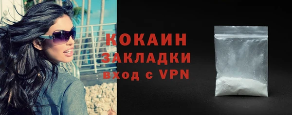 индика Киренск