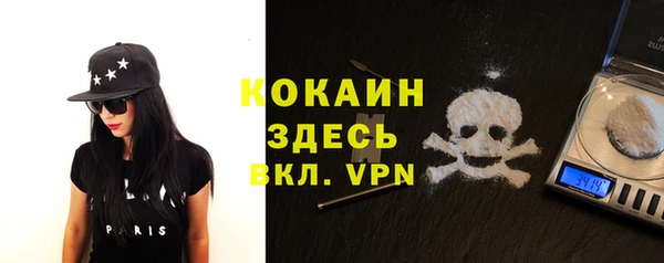 стаф Касимов
