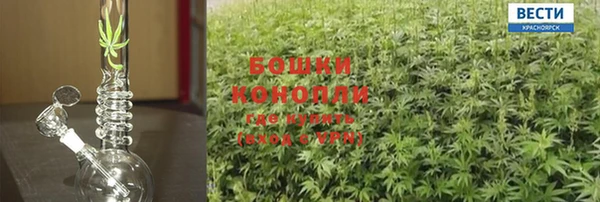 индика Киренск