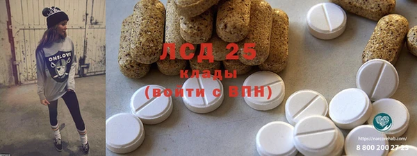 стаф Касимов