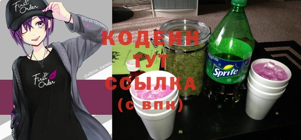 индика Киренск